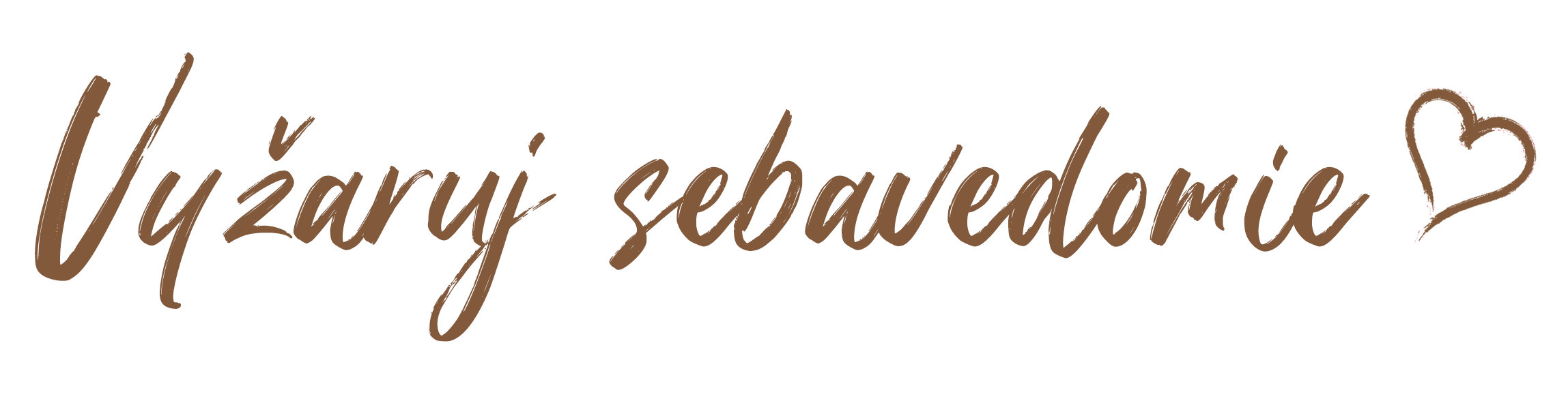 vyzaruj sebavedomie b